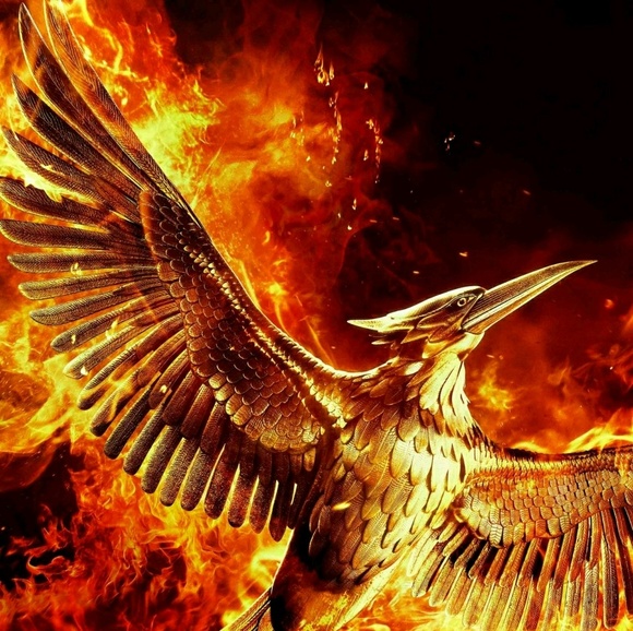 Meet your Posher, James - Picture 1 of 1